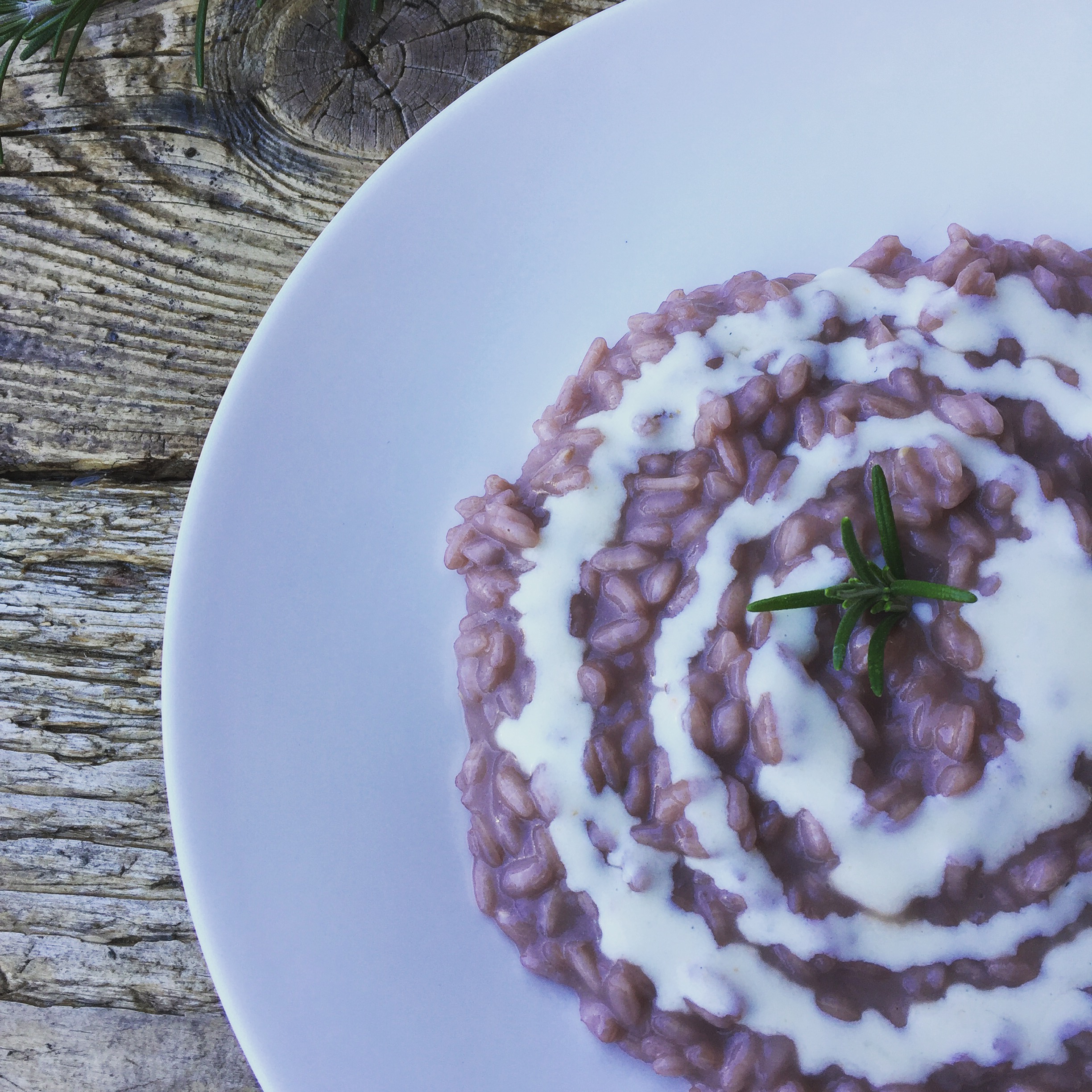 risotto al sangiovese e fonduta di robiola